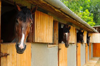free Newton Peveril stable construction quotes