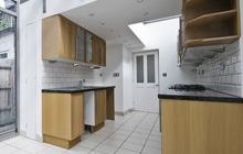Newton Peveril kitchen extension leads